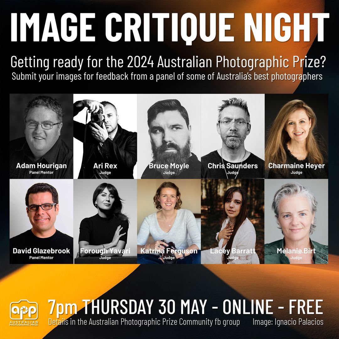 Online Image Critique & Information Night